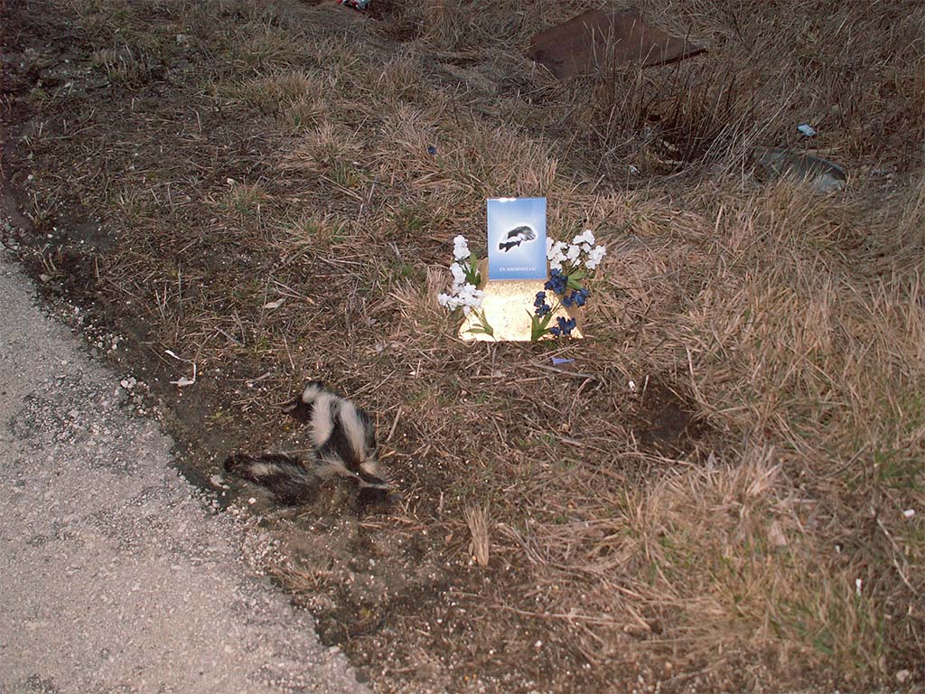 roadkill shrine